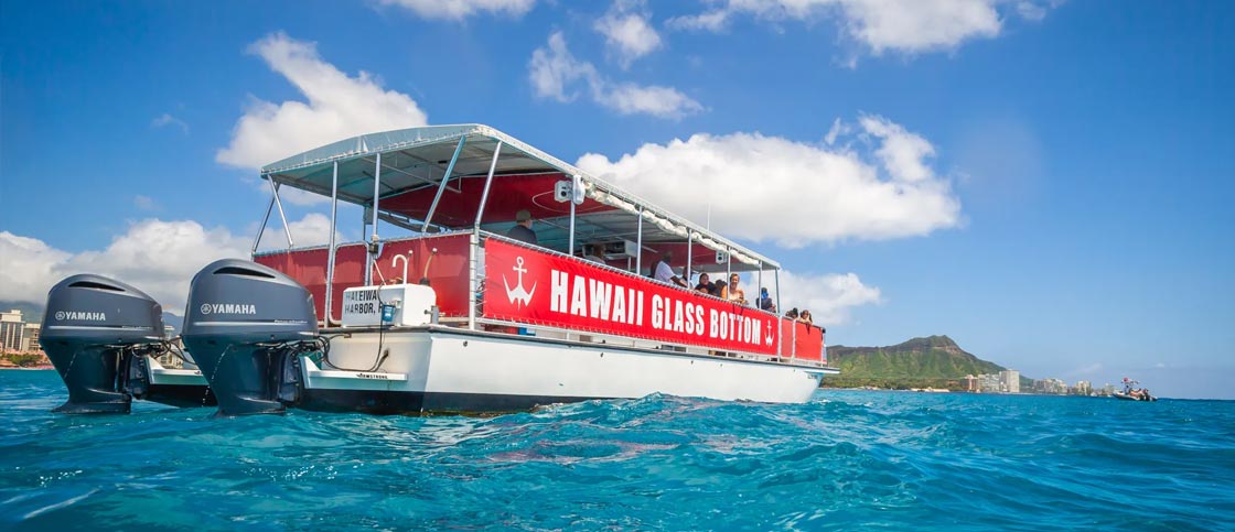 Back of the glass bottom boat